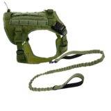dog harness & leash combo