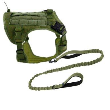 dog harness & leash combo