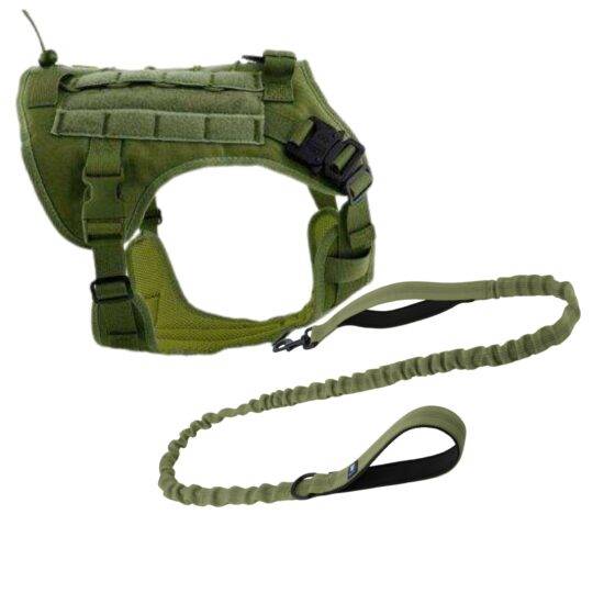 dog harness & leash combo
