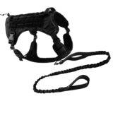 leash and harness combo black