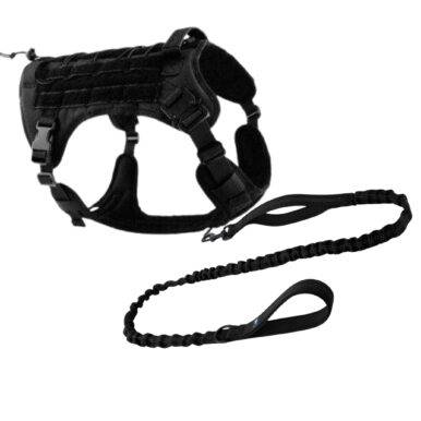 leash and harness combo black
