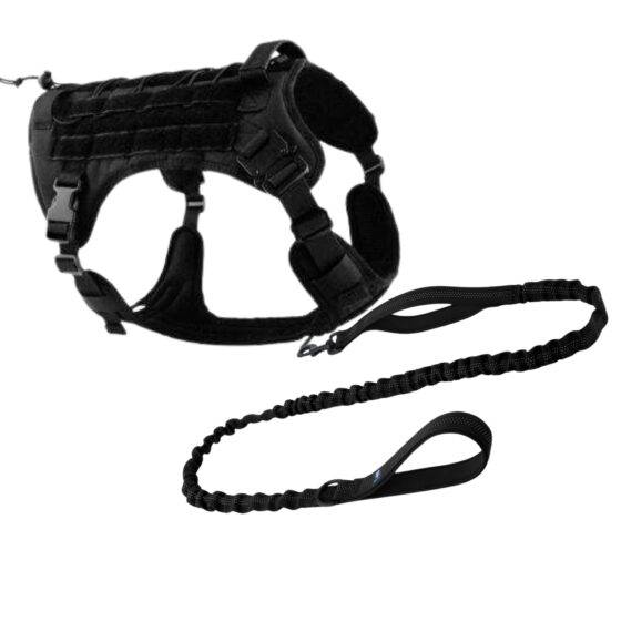 leash and harness combo black