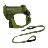 Green leash and harness combo green