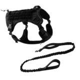 leash and harness combo black