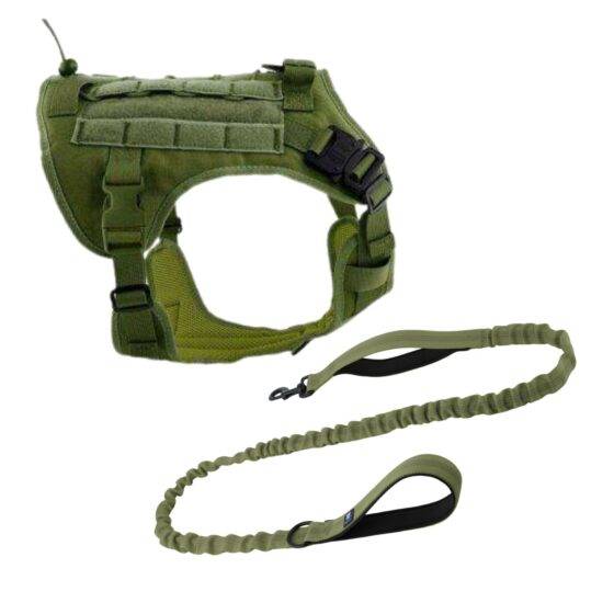 Green leash and harness combo green